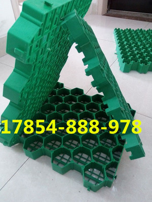 歡迎光臨、南京停車位植草格))股份丨歡迎您_南京植草格,南京停車位植草格,南京植草格公司,植草格,停車位植草格_供應信息_中國安防展覽網