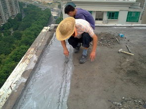 韶關(guān)市樂(lè)昌市穗興清洗外墻與防水補(bǔ)漏工程公司及南京防水工程服務(wù)綜述